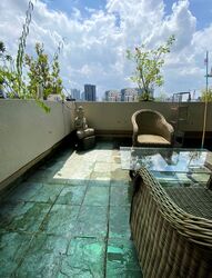 Balestier Point (D12), Apartment #585549091